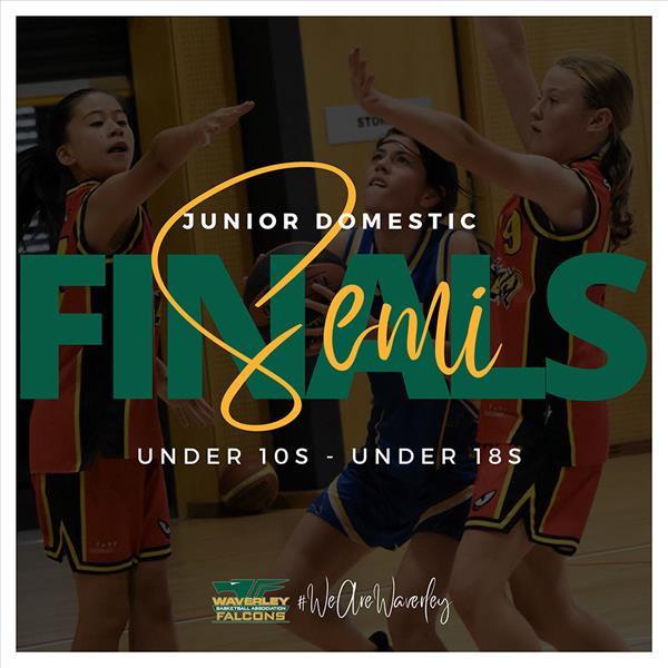 Waverley Basketball Association